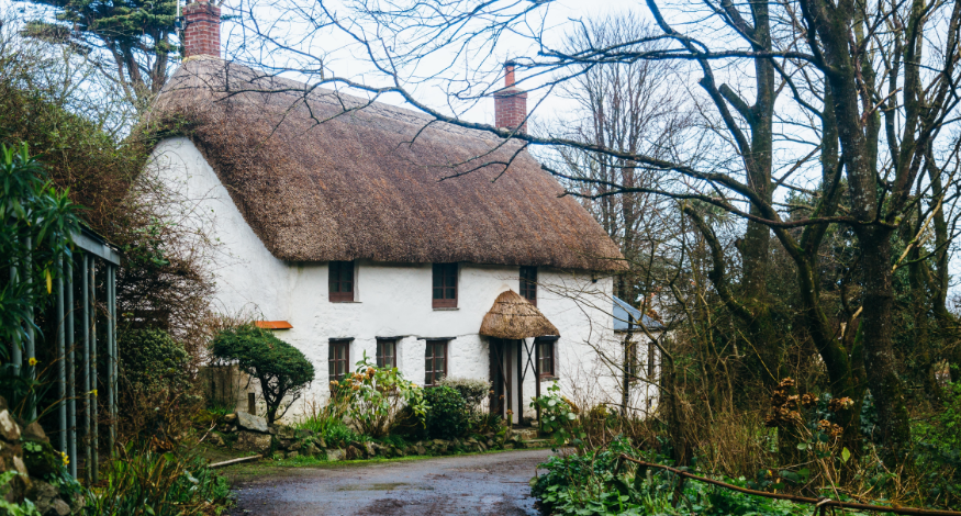 thatched roof home insurance