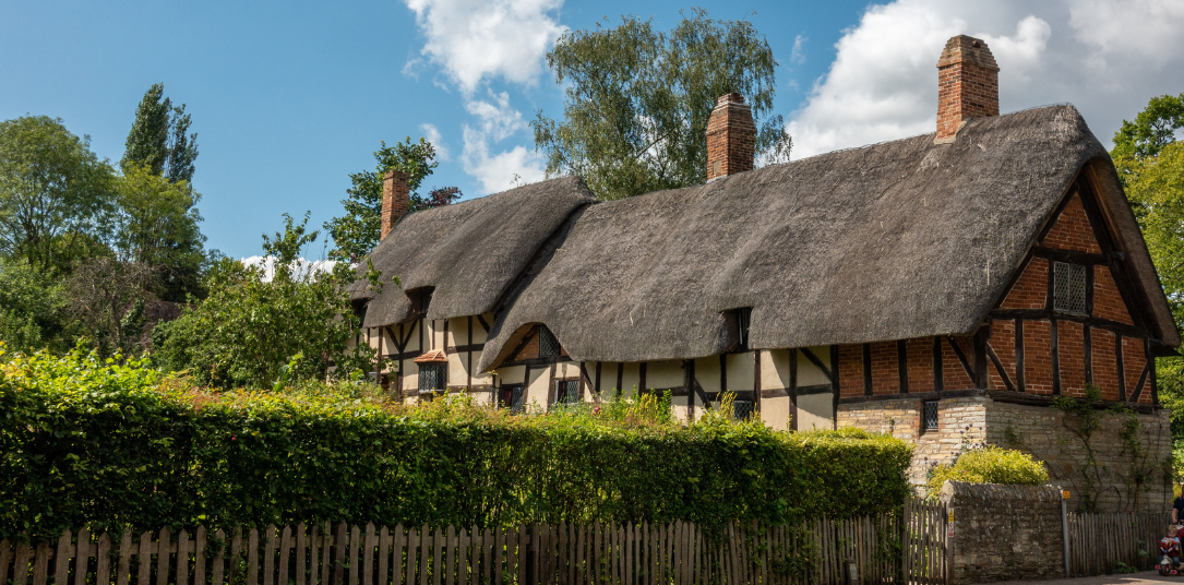 thatch house insurance