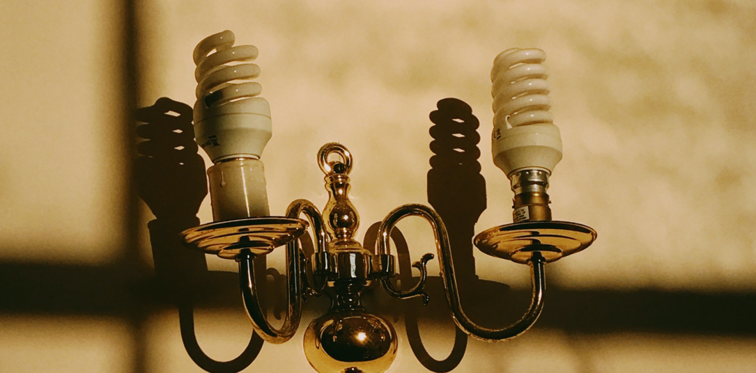 thatch house insurance light bulb